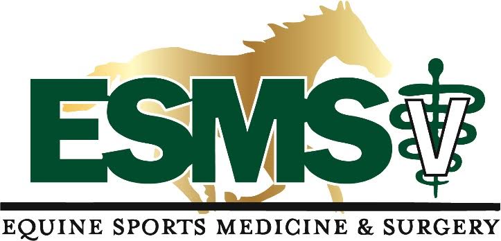 ESMS Logo